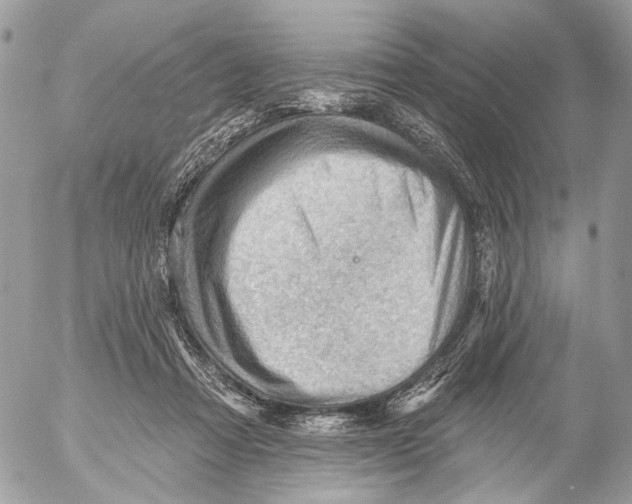 X0000053080313200508081252