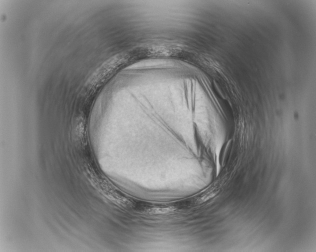 X0000053080314200508081252