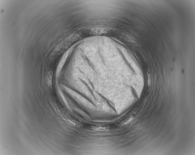 X0000053080315200508081252