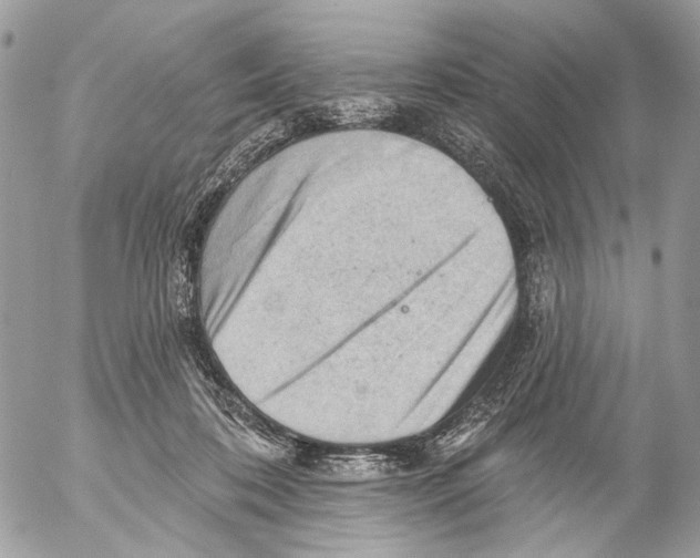 X0000053080316200508081252