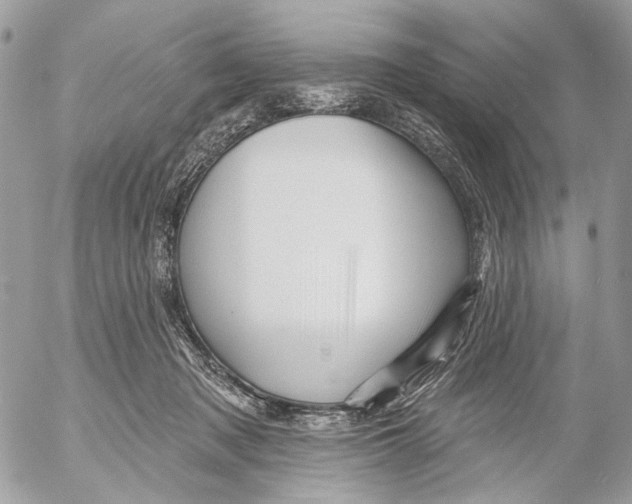 X0000053080317200508081252