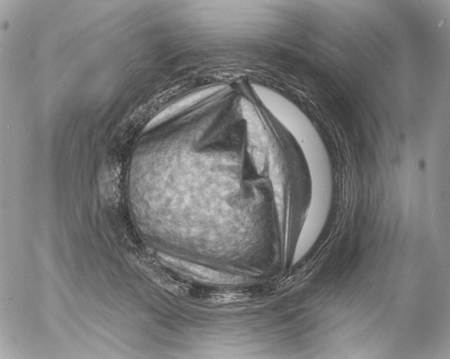 X0000053080319200508081252