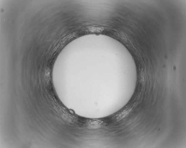 X0000053080321200508081252