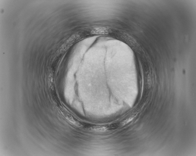 X0000053080322200508081252