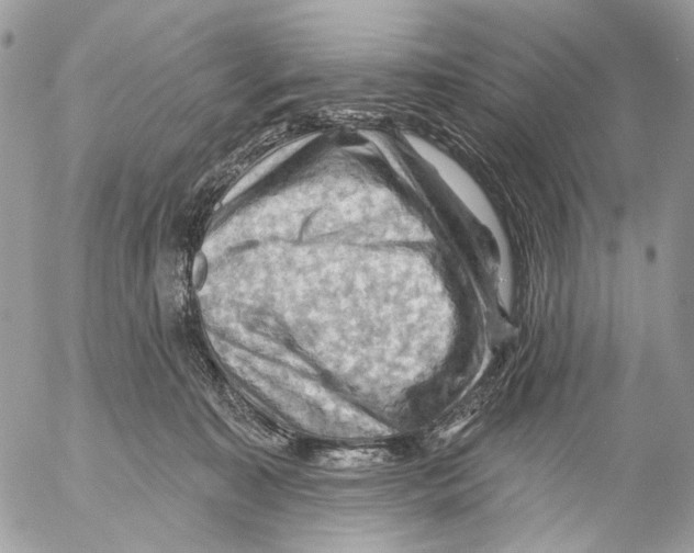 X0000053080323200508081252