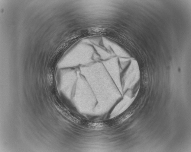 X0000053080324200508081252