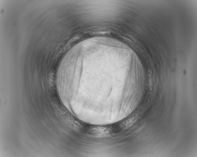 X0000053080326200508081252