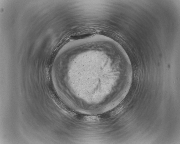 X0000053080327200508081252