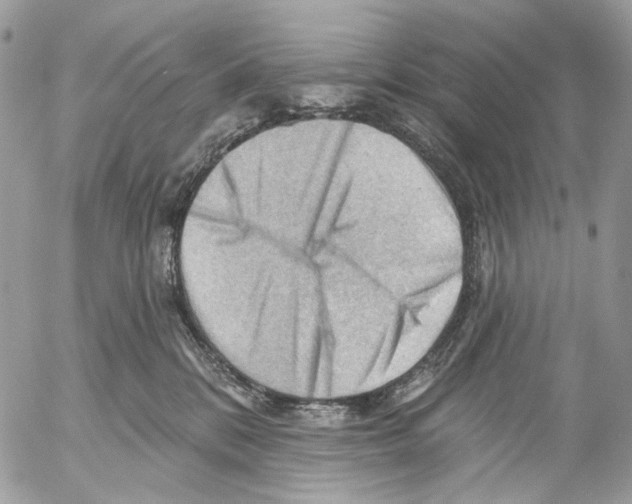 X0000053080328200508081252