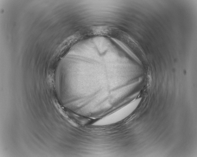 X0000053080329200508081252