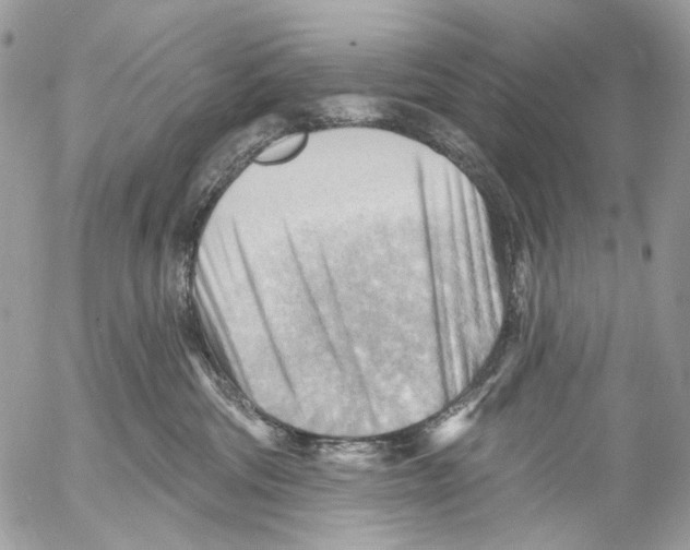 X0000053080330200508081252