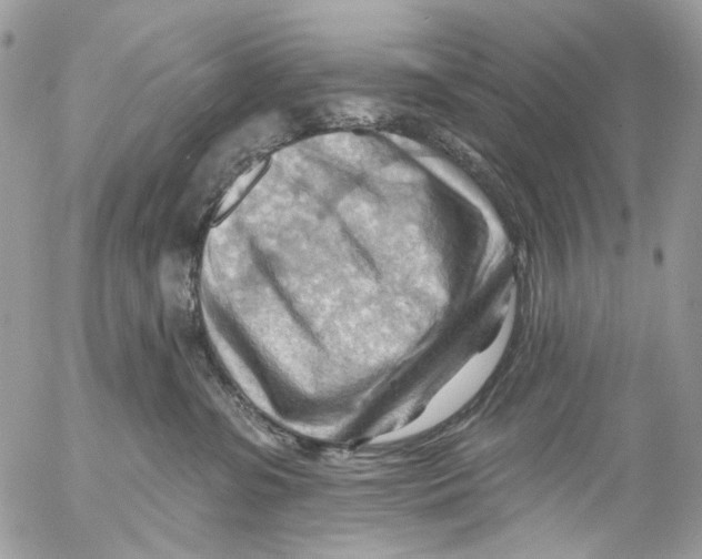 X0000053080331200508081252