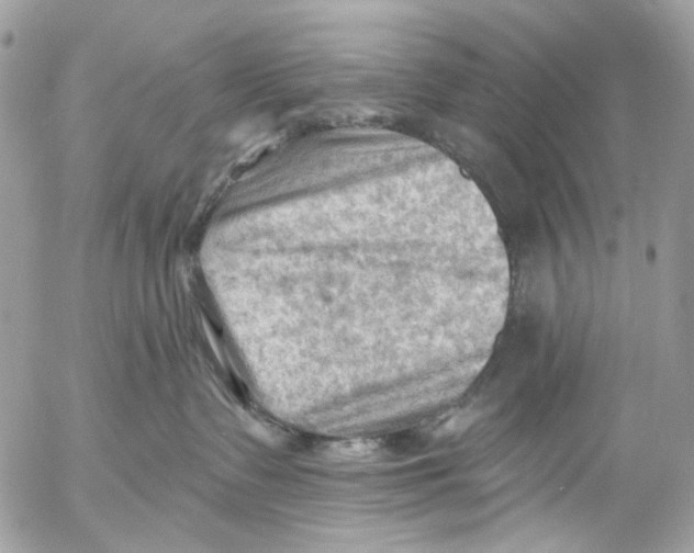 X0000053080335200508081251