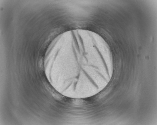 X0000053080336200508081251