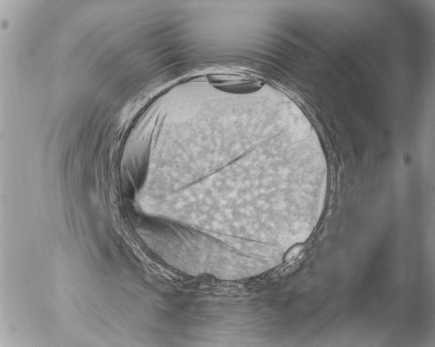 X0000053080337200508081251