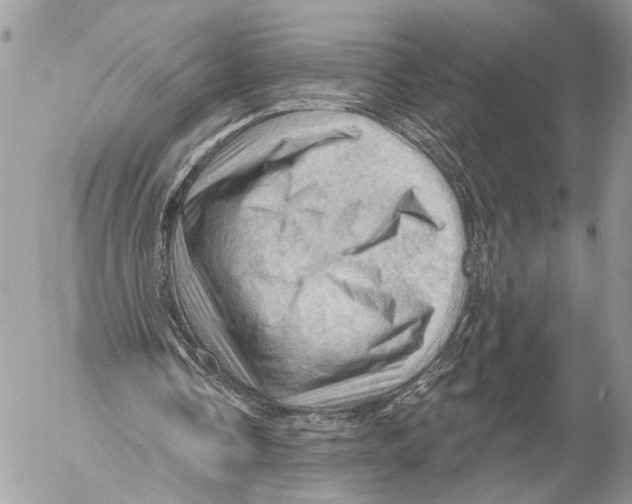 X0000053080338200508081251