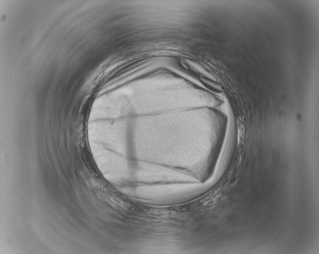 X0000053080339200508081251