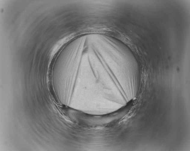 X0000053080340200508081251