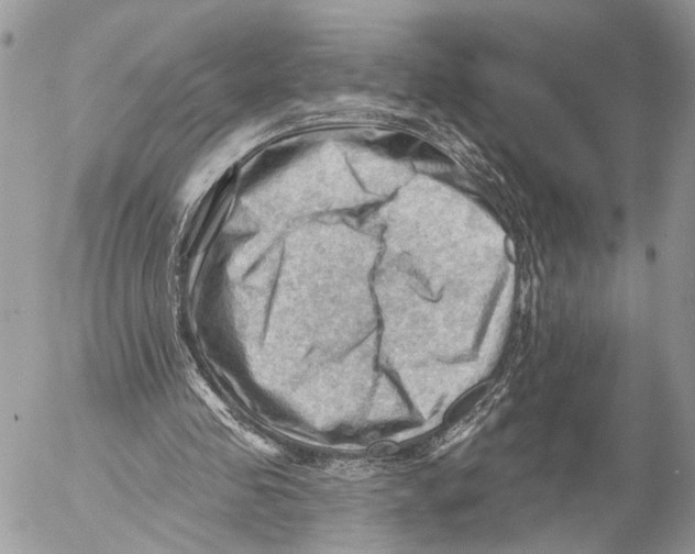 X0000053080341200508081251