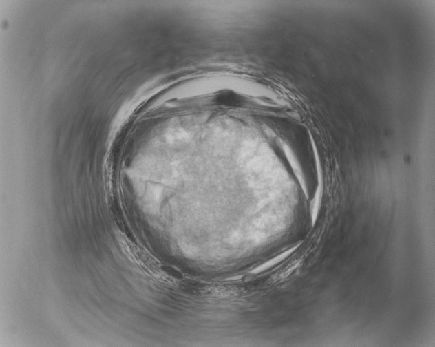 X0000053080343200508081251