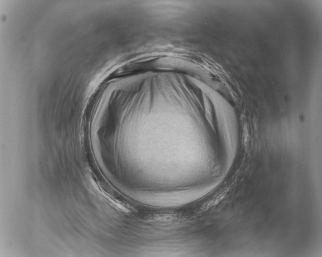 X0000053080344200508081251