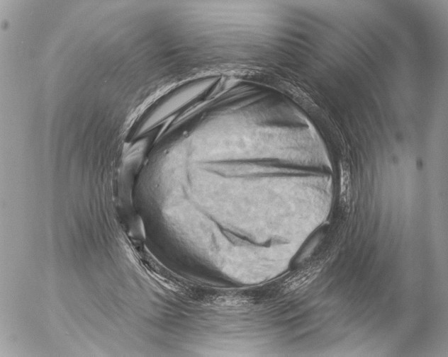 X0000053080348200508081251