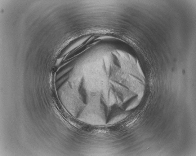 X0000053080352200508081251