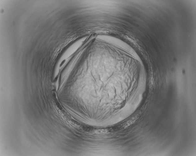 X0000053080353200508081251