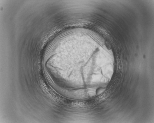 X0000053080354200508081251