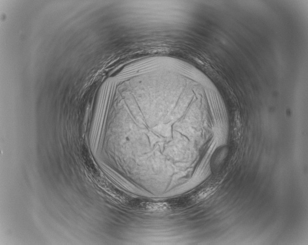 X0000053080355200508081251