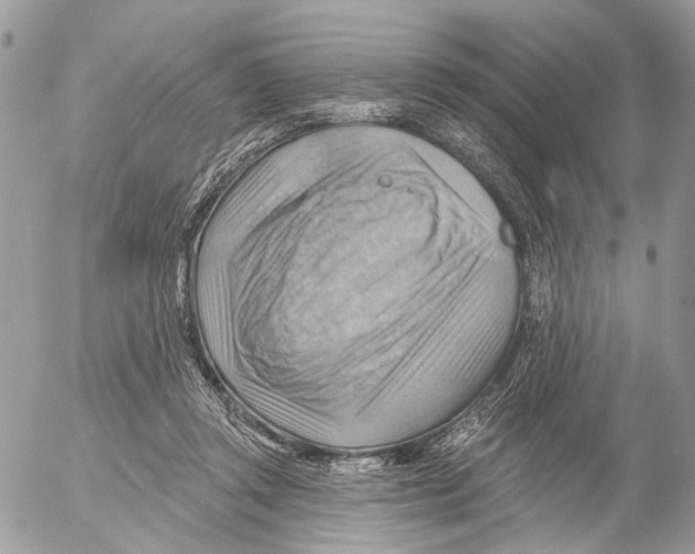 X0000053080357200508081251