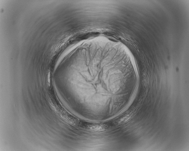 X0000053080358200508081251