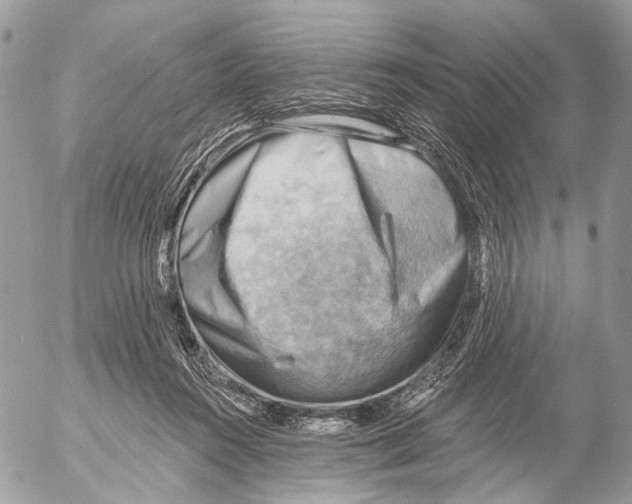 X0000053080360200508081251