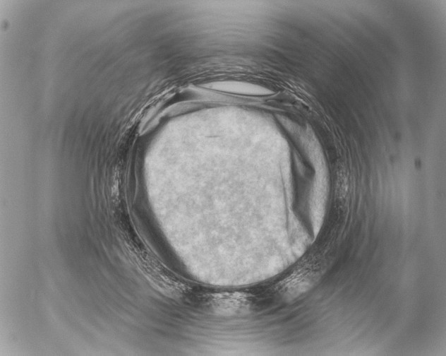 X0000053080363200508081251