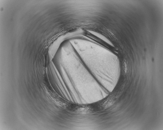 X0000053080364200508081251