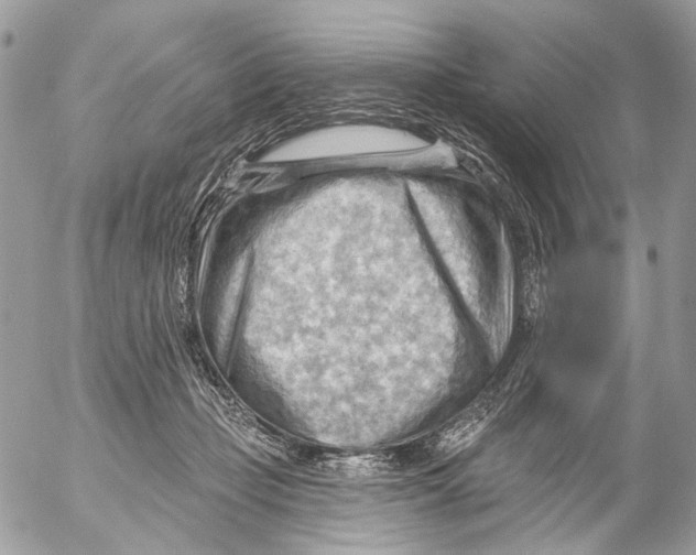 X0000053080365200508081251