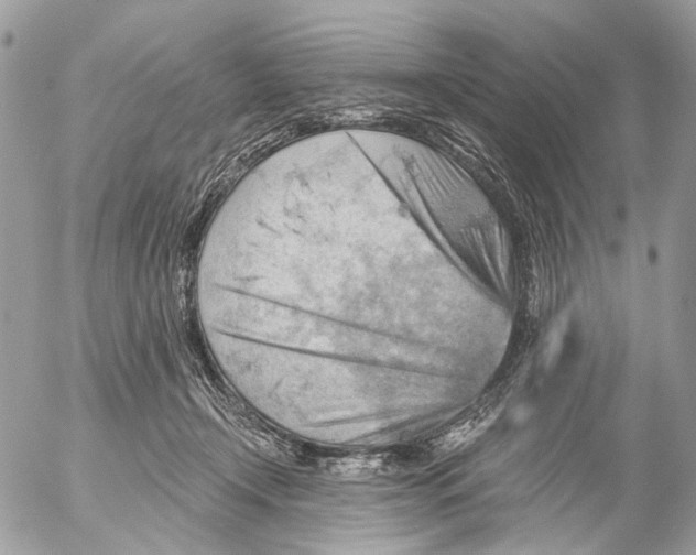 X0000053080366200508081251