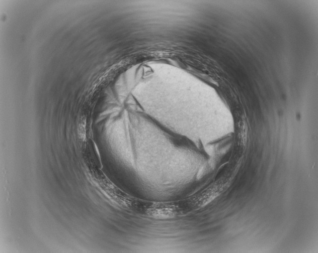 X0000053080368200508081251