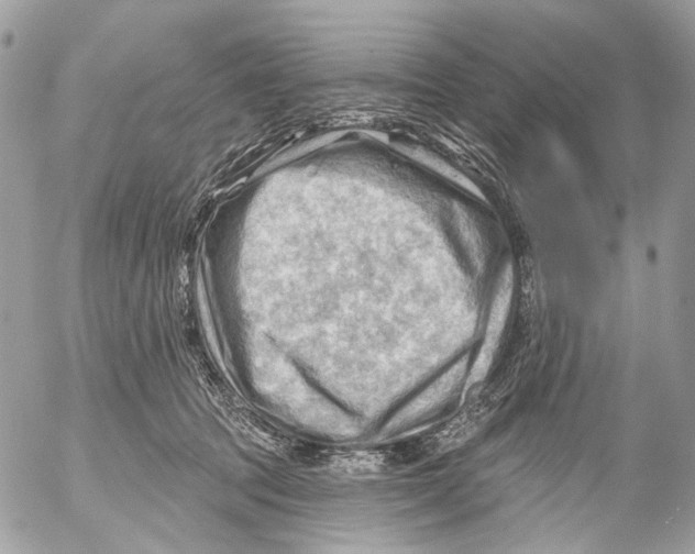 X0000053080369200508081251