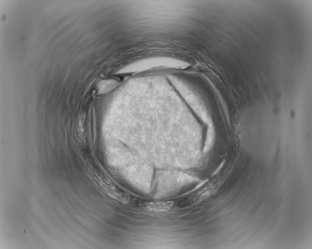 X0000053080373200508081251