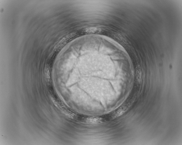 X0000053080375200508081251