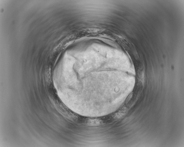 X0000053080376200508081251