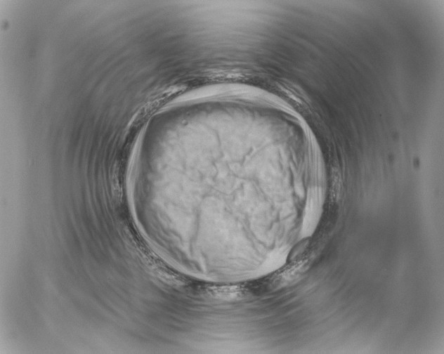 X0000053080377200508081251