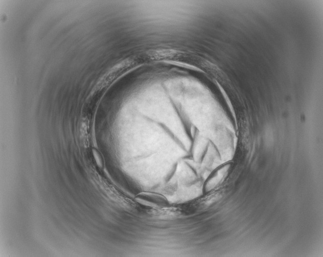 X0000053080378200508081251