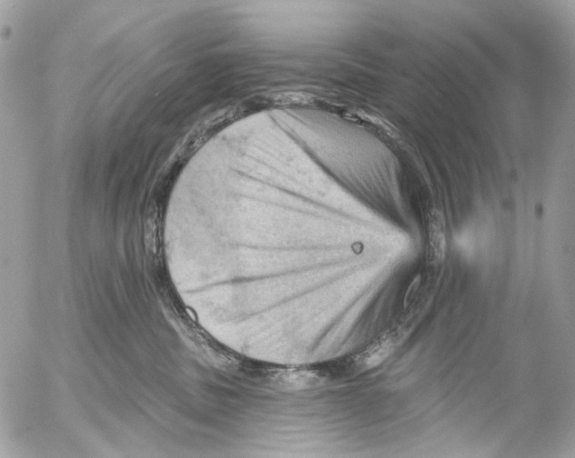 X0000053080379200508081251