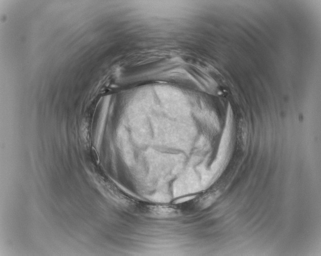 X0000053080380200508081251