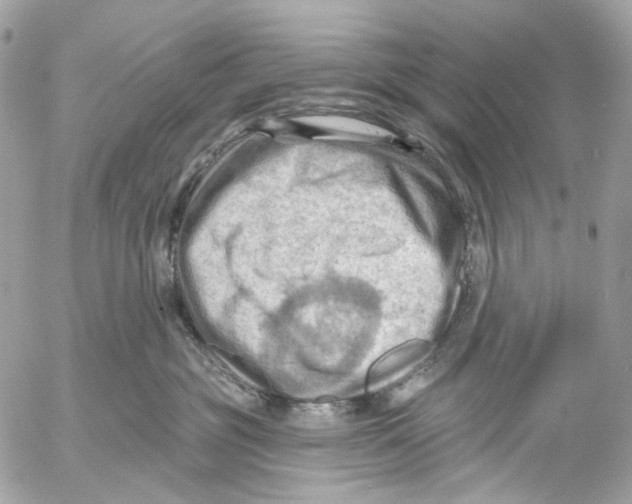 X0000053080381200508081251