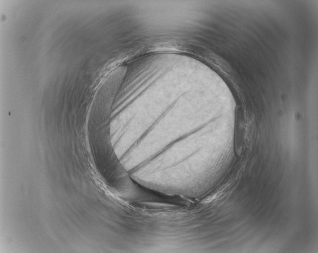 X0000053080385200508081251