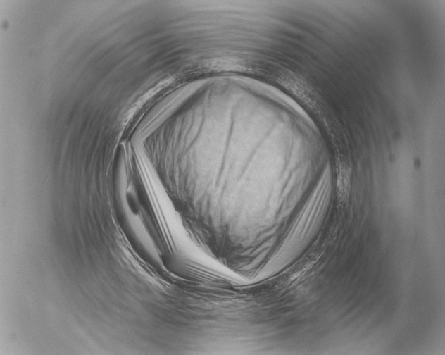 X0000053080390200508081251