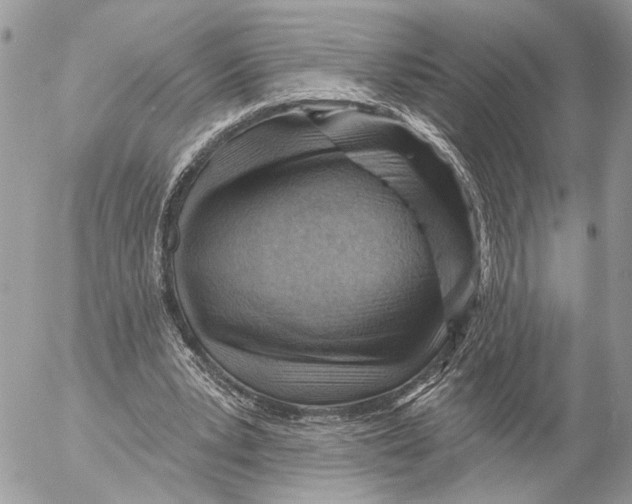 X0000053080391200508081251